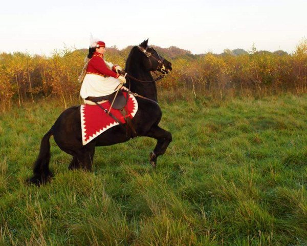 Pferd Da Capo G (Oldenburger, 1996, von Dream of Glory)