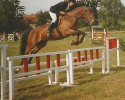 broodmare Selene (German Warmblood, 1986, from Dillon)