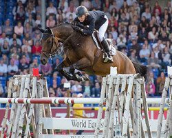 jumper Daisy (KWPN (Royal Dutch Sporthorse), 2008, from Excenel V)