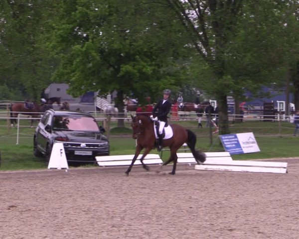 Reitturnier Ahlen 2019