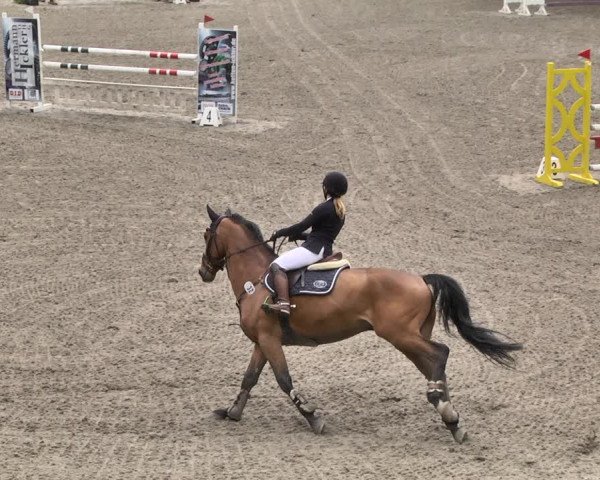 Reitturnier Eppelheim 2019