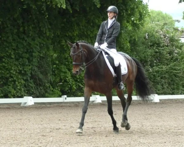 Reitturnier Eppelheim 2019