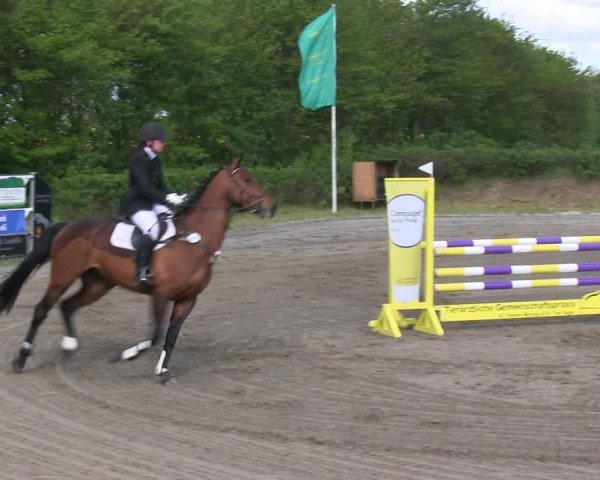 Reitturnier Risum-Lindholm 2019