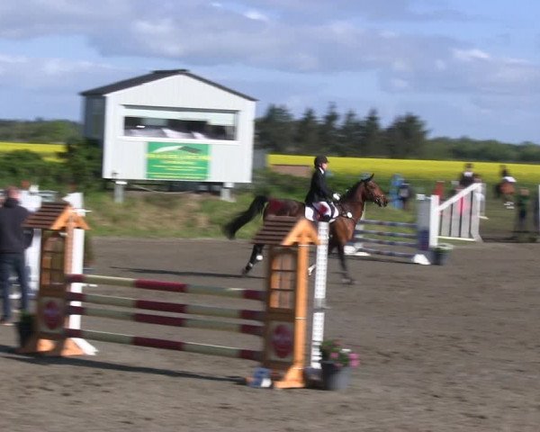 Reitturnier Risum-Lindholm 2019