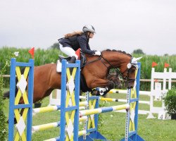 Springpferd Beach Boy 53 (Deutsches Reitpony, 2005, von Bon Jovi)