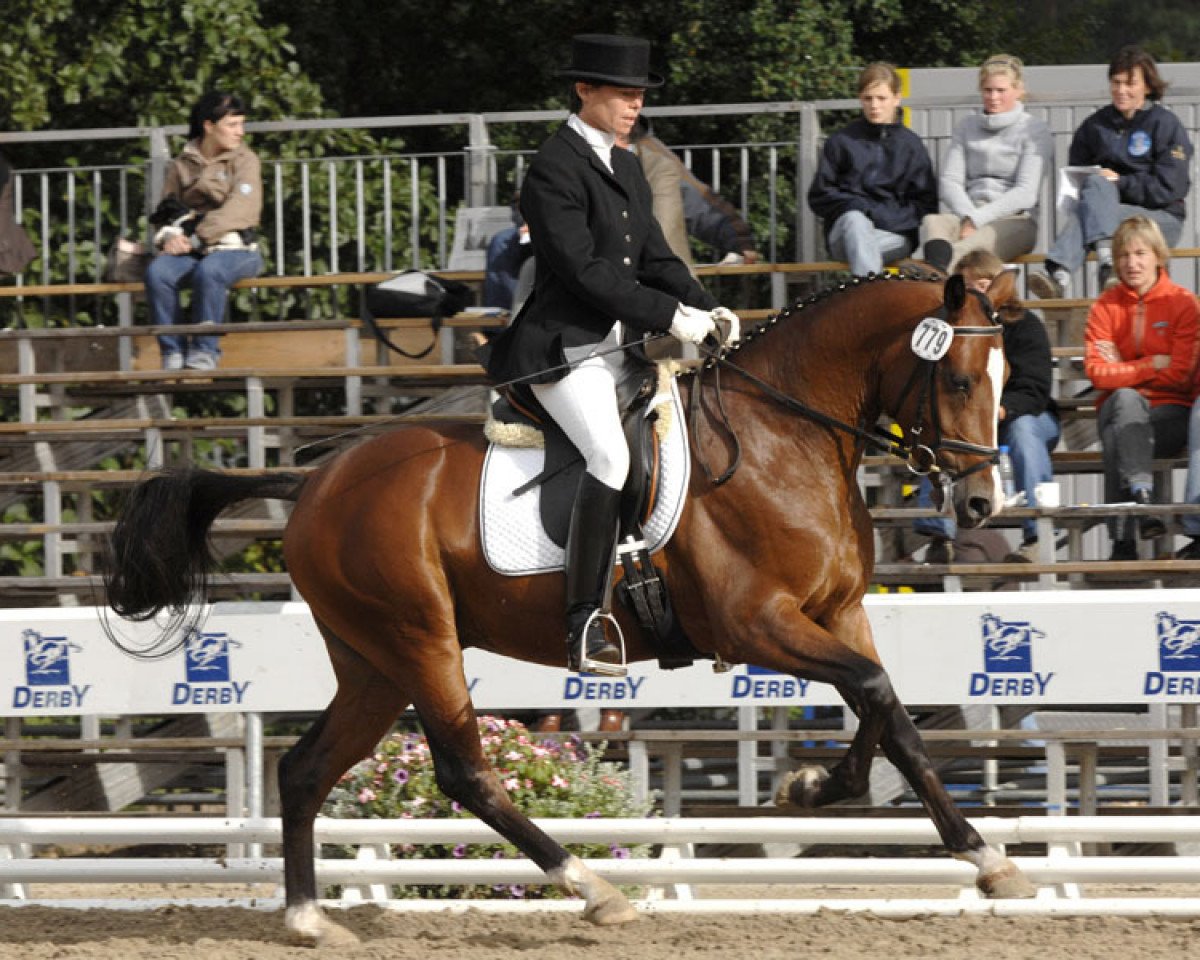 Dressurpferd Gambys Hanneken WE (Deutsches Reitpferd, 2009, von FS Don't Worry)