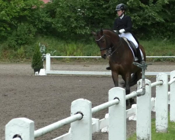 Reitturnier Eppelheim 2019