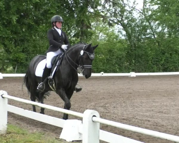 Reitturnier Eppelheim 2019