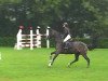 jumper Padina L P (KWPN (Royal Dutch Sporthorse), 2005, from Padinus)