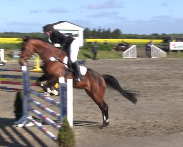 Reitturnier Risum-Lindholm 2019
