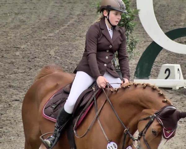 Reitturnier Eppelheim 2019