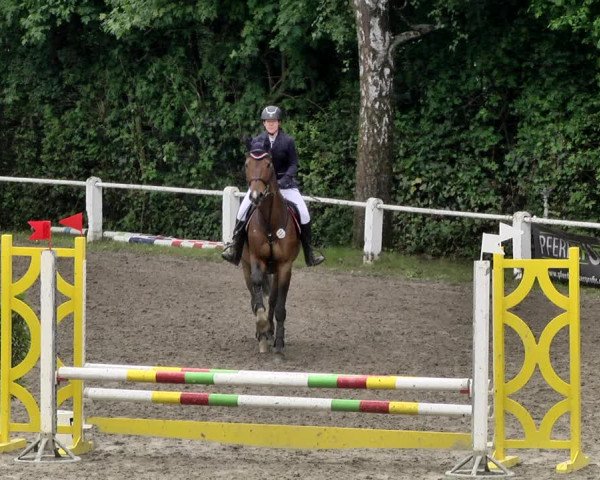 Reitturnier Eppelheim 2019