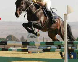 jumper Radermus (KWPN (Royal Dutch Sporthorse), 1998, from Burggraaf)