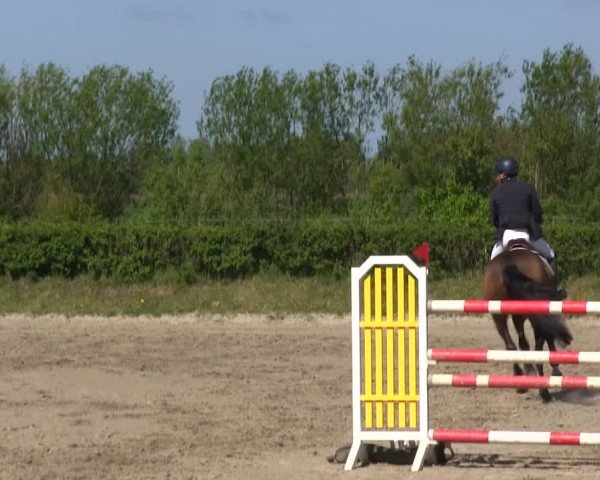 Reitturnier Risum-Lindholm 2019