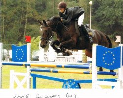 broodmare Abdella C (Belgian Warmblood, 2000, from Flamenco de Semilly)