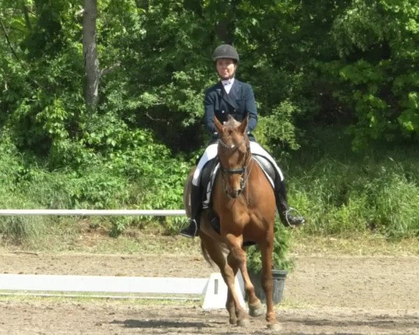 Reitturnier Eppelheim 2019