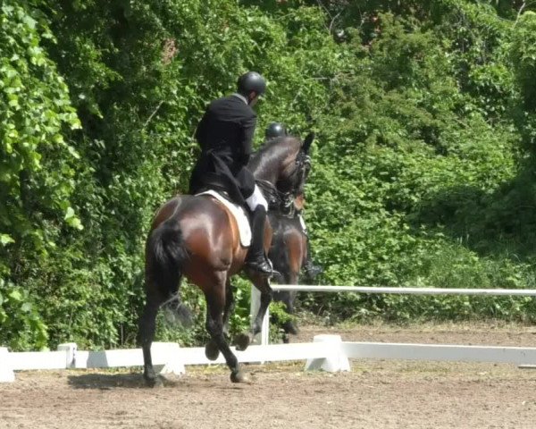 Reitturnier Eppelheim 2019