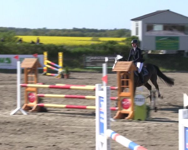 Reitturnier Risum-Lindholm 2019
