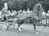 broodmare Nuwalda (KWPN (Royal Dutch Sporthorse), 1972, from Ziezo)