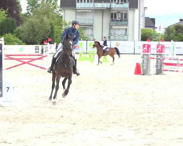 Reitturnier Horn 2019