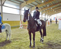 jumper Cordarco (Oldenburg show jumper, 2006, from Cormint)