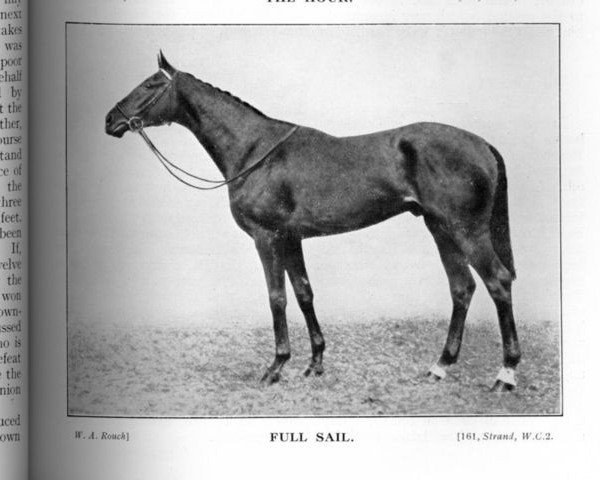 stallion Full Sail xx (Thoroughbred, 1934, from Fairway xx)