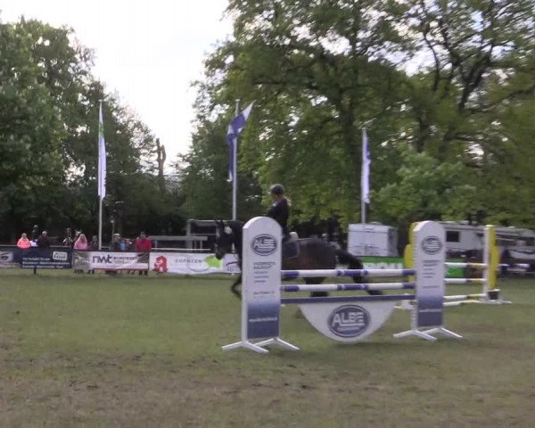 Reitturnier Meppen 2019