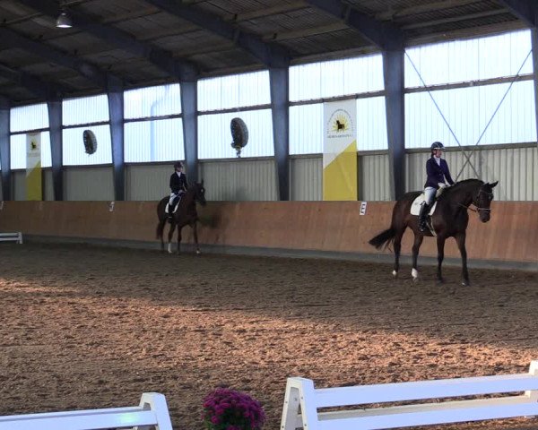 Reitturnier Frechen-Grefrath - Sonnenhof 2021