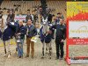 jumper Casting 3 (Oldenburg show jumper, 2004, from Cellestial)