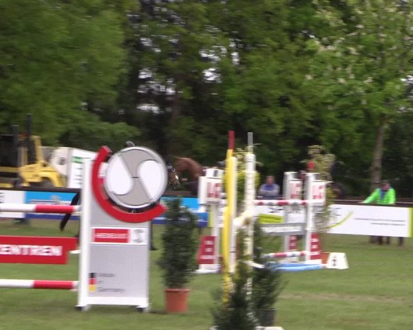 Reitturnier Meppen 2019