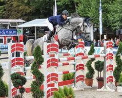 jumper Charmeur 436 (Zangersheide riding horse, 2008, from Cristallo I)