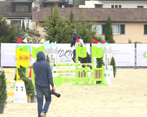 Reitturnier Horn 2019