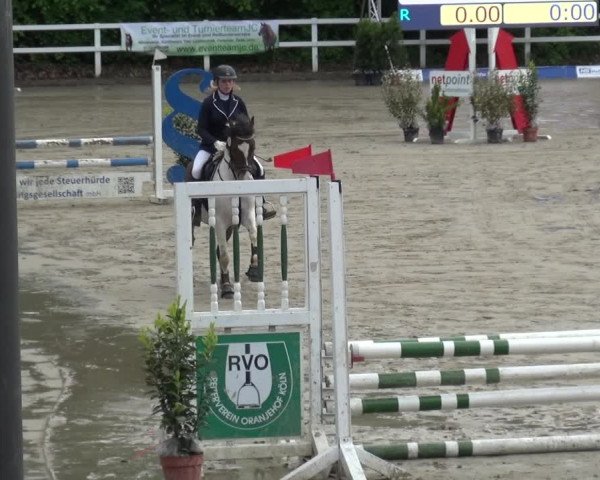 Reitturnier Köln-Seeberg 2019
