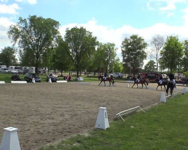 Reitturnier Ahlen 2019
