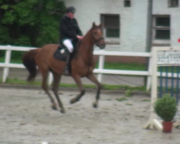 Reitturnier Köln-Seeberg 2019