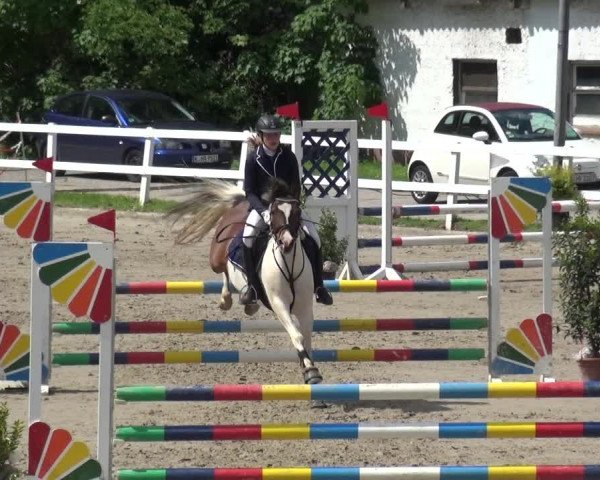 Reitturnier Köln-Seeberg 2019