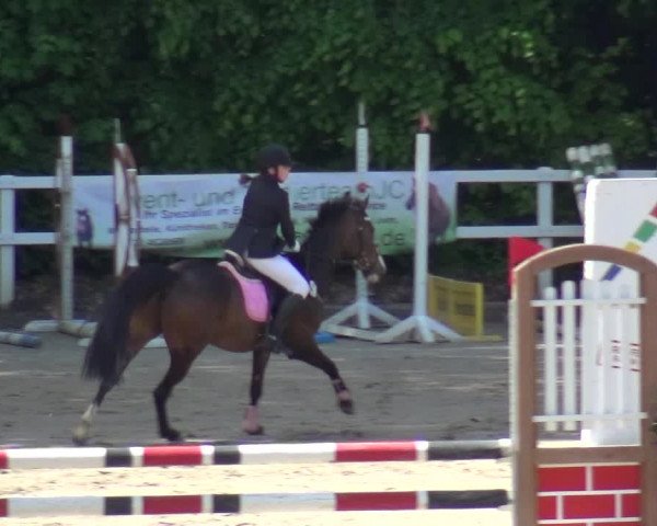 Reitturnier Köln-Seeberg 2019