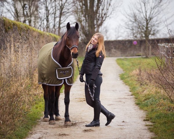 broodmare Caldera (German Warmblood, 2004, from Camilo)