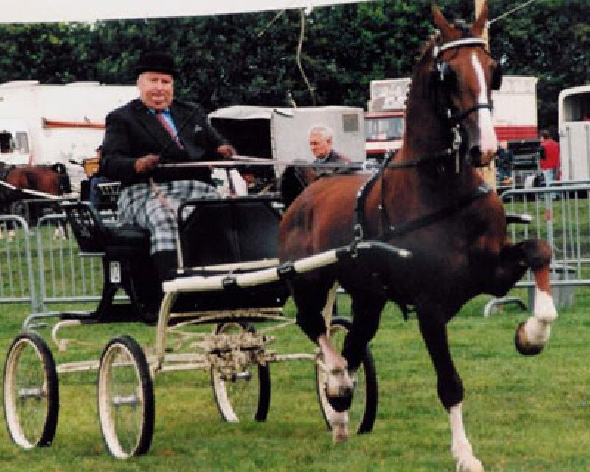 Deckhengst Milano (KWPN (Niederländisches Warmblut), 1994, von Renovo)