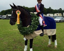 dressage horse Kamiro-Cash (German Riding Pony, 2009, from Honeymoon Star)