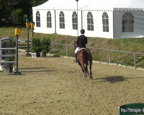 Reitturnier Ladenburg 2019