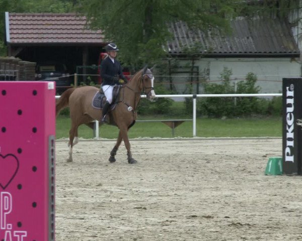 Reitturnier Ostenfelde-Vornholz 2019