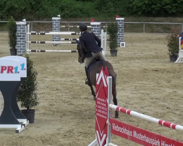 Reitturnier Ladenburg 2019