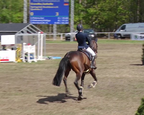 Reitturnier Schwanebeck 2019