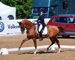 dressage horse Suriano Nr (Rhinelander, 1999, from Solferno)