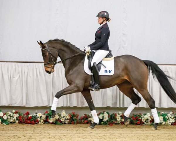 dressage horse Rawella (Westphalian, 2013, from Rock Forever NRW)