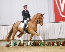 dressage horse Forestero (Westphalian, 2012, from Fürst Piccolo)