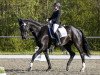 dressage horse Don Antonio 16 (Württemberger, 2006, from Danone 4)