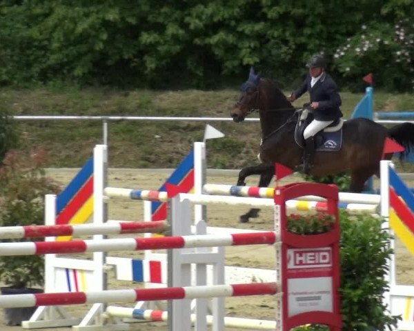 Reitturnier Ladenburg 2019