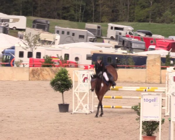 Reitturnier Oberfrauendorf 2019